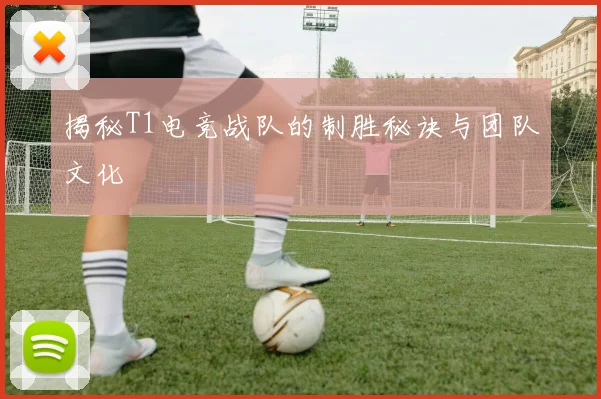揭秘T1电竞战队的制胜秘诀与团队文化
